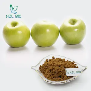 Factory Selling 10% Healthy Pure Natural Apple Peel Extract Apple Polyphenols Powder