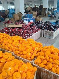 Tête de coupe <span class=keywords><strong>OLEO</strong></span>-<span class=keywords><strong>MAC</strong></span> tête en plastique M10x1.25mm LHF pour débroussailleuse pièces de rechange - Product Image 2