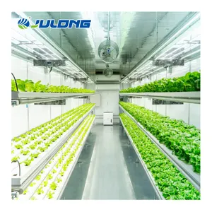 Smart Farm Container Factory Vertikales Nft-Hydro ponik system von guter Qualität für Gewächshaus salat