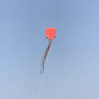 Le cerf-volant pieuvre est facile à piloter pour les enfants et les adultes. Cet ensemble de cerfs-volants de plage 3D souples à une seule ligne est parfait pour les garçons et les filles.