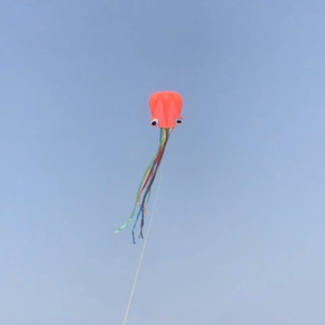 Le cerf-volant pieuvre est facile à piloter pour les enfants et les adultes. Cet ensemble de cerfs-volants de plage 3D souples à une seule ligne est parfait pour les garçons et les filles. - Product Image 6