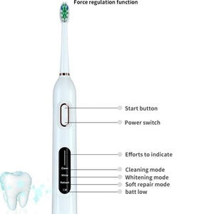 Factory Wholesale Rechargeable Teeth Whitening Electric Toothbrush Adult Magnetic Sonic Electric Toothbrush With Charging Base - Product Image 4