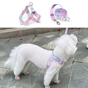 Ensemble Harnais et Laisse pour Chien PororoPet Loopy, Réglable, Respirant, en Maille, avec Bretelles Croisées au Dos - Product Image 3