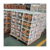 Oranges de Valence fraîches de qualité supérieure en provenance de Chine avec une durée de conservation de 2 ans