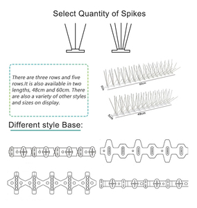 Wide Plastic Base <strong>Stainless</strong> <strong>Steel</strong> <strong>Bird</strong> Repellent Thorn Anti Pigeon <strong>Bird</strong> <strong>Spikes</strong> For Tinamou Deterrent - Product Image 5