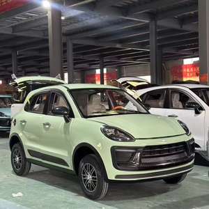 Vehículo Eléctrico Chino 2025, Mini Auto Eléctrico de 3500W con 4 Ruedas, Varios Colores para Adultos, Oferta Económica, Hecho en China - Product Image 6