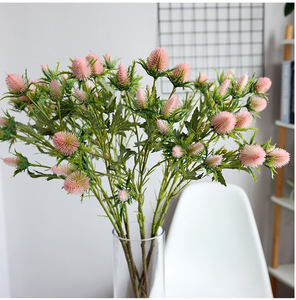 Simulation de fleur artificielle de bonne qualité, 10 têtes, <span class=keywords><strong>Eryngium</strong></span> <span class=keywords><strong>Foetidum</strong></span>, décoration florale de salon - Product Image 5