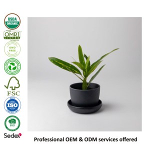 <span class=keywords><strong>Mini</strong></span> jardinière <span class=keywords><strong>en</strong></span> fibre de bambou noir grand moule de Pot de <span class=keywords><strong>jardin</strong></span> <span class=keywords><strong>en</strong></span> <span class=keywords><strong>lévitation</strong></span> pour la maison pépinière chambre béton fleur affichage produit de jardinage - Product Image 2