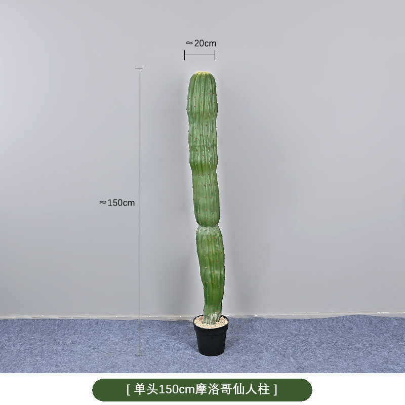 150cm sola cabeza marroqui columna inmortal