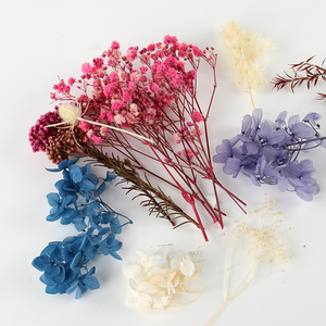 <span class=keywords><strong>Venta</strong></span> Directa <span class=keywords><strong>de</strong></span> Fábrica, Arte Floral con Hilo LED, Pintura en Espiral, Regalos, Manualidades, Hilos <span class=keywords><strong>de</strong></span> Colores para Decoración del Hogar - Product Image 5