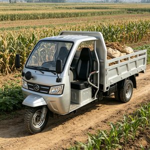 <span class=keywords><strong>Triciclo</strong></span> de Carga Runhorse T1000 con Caja de Carga, Motor de Gasolina de 1000 CC, <span class=keywords><strong>Triciclo</strong></span> Agrícola, Triciclos de Gasolina Usados en Buen Estado - Product Image 4