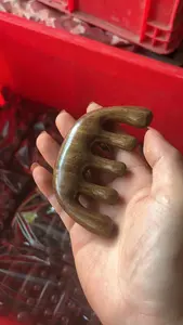 Luma özel toptan en doğal yeşil Sandal derisi tarak kafa masaj Sandal ahşap saç tarağı kadınlar için - Product Image 5