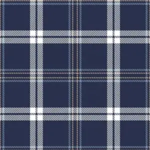 Yilong Textile Fabric Factory Custom Design Pattern Twill 100%Cotton Stripes Plaid Printed Fabric For Child Single Bed Sheet