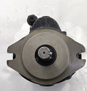 Bomba de Paletas de Pulsación de Flujo Pequeño V23A6R10X de Fácil Instalación para Circuitos de Lubricación Industrial - Product Image 4