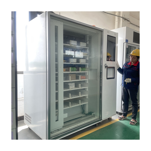 Leading Automatic Vending Machine Supplier for Shopping Malls Credit Card Coin QR Code Token Payment Offering OEM/ODM Services
