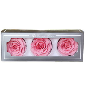 Rosa Eterna, Rosa Preservada, Flor Eterna, Infinita, Para Siempre, Rosas Eternas Preservadas de 8cm y 9cm - Product Image 4