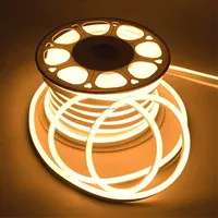 Bande lumineuse LED néon en silicone SMD 3535RGB 8W/m, étanche IP67, couleur personnalisable, découpe possible à 1cm/2.5cm, certifiée CE ROHS
