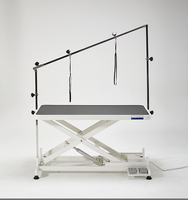 Mesa de Peluquería Canina Eléctrica de Perfil Bajo, de Acero Inoxidable, Segura y Fácil de Usar, con Motor Silencioso e Impermeable, YM-D001