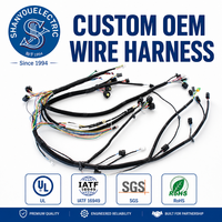 Produsen Perakitan Kabel Profesional China, Kabel Harness Sepeda Listrik