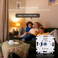 Variateur d'éclairage rotatif mural Matter Over Thread compatible avec Alexa Google Home, télécommande sans fil, gradation de précision