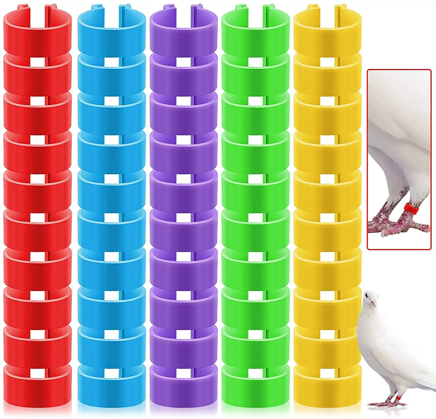 플라스틱 열려있는 유형 버클 닭 오리 거위 디지털 방식으로 발 반지 가금류 비둘기 다리 반지 수
