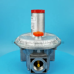 วาล์วลดแรงดันแก๊สสำหรับหม้อไอน้ำอุตสาหกรรมแบบปรับได้ตามสั่ง รุ่น JR <span class=keywords><strong>JGV</strong></span>-32R10 DN32 ผลิตจากอะลูมิเนียมหล่อ พร้อมเกลียว/หน้าแปลน ขายส่ง - Product Image 6