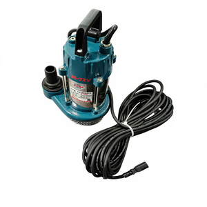 50ZQB750 12V DC <span class=keywords><strong>pompe</strong></span> à eau submersible en acier inoxydable haute pression <span class=keywords><strong>10m</strong></span> ³/h débit 18m tête d'<span class=keywords><strong>aspiration</strong></span> pour l'irrigation agricole - Product Image 4