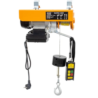 Petit palan électrique électrique de levage 220v 500kg Mini grue électrique petit palan moteur Mini palan électrique 100kg