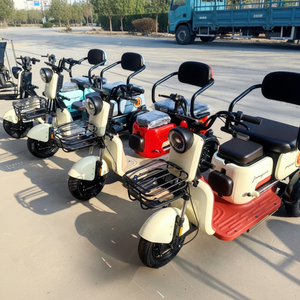 Tricycles électriques V8, moteur 500W, vitesse unique, cadre en acier à haute teneur en carbone 48V, nouveauté 2024 - Product Image 1