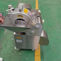 All-in-one industriële 3D-snijmachine voor groenten & fruit: snijdt, raspt en dooit in blokjes, met hoge efficiëntie en precisie