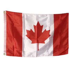 Fast Delivery In Stock Custom Flag 3x5ft Polyester Printed National Country Canada Flag