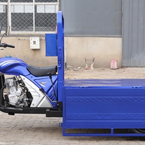 Nouveau modèle 2021 : Tricycle motorisé électrique populaire pour adultes, moto 200, 250, 300 cm³, tricycle cargo à essence - Product Image 6