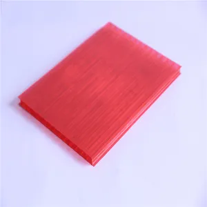 low cost hot sale bayer 6mm hollow polycarbonate twin wall sheet