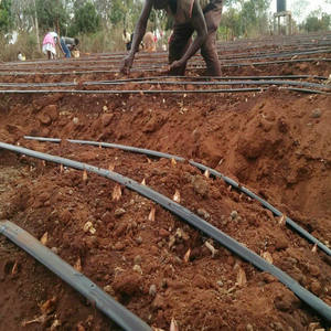 نظام ري ، شريط ري بالتنقيط 16 من من من - Product Image 2