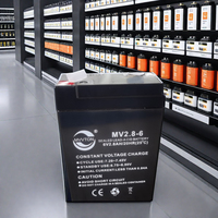 Aanbieding Van De Fabrikant 6v2.8ah Agm Oplaadbare Loodzuurbatterij Voor Elektrische Muggen Swatters Bureaulampen