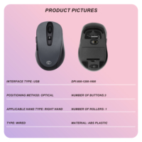 Mini ratón de PC inalámbrico ligero de alta calidad con retroiluminación LED Proveedor superior En stock Mano derecha Precio bajo para uso en la oficina