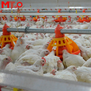 Bán Chạy Thiết Bị Trang Trại Potlry Gà Thịt Tự Động Hệ Thống Cho Ăn Pan - Product Image 5