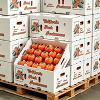 Boîte d'emballage personnalisée de qualité alimentaire pour kakis, écologique, en carton ondulé, avec trous de ventilation, réutilisable pour riz frais