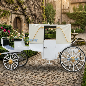 Calèche royale électrique de luxe, style palais, avec pare-soleil, pour la visite des sites, à traction équine, très demandée - Product Image 1