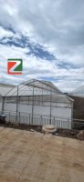 Système de serre en acier multi-tunnels solaires commerciaux pour l'agriculture hydroponique et la culture de légumes