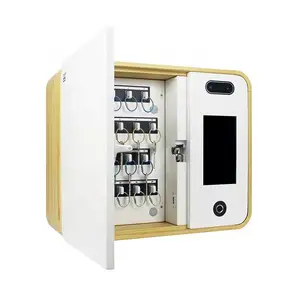 Scatola di immagazzinaggio di alta qualità con cassetta di sicurezza a chiave piccola scatola di sicurezza a chiave scatola di blocco a chiave digitale armadio di stoccaggio intelligente per montaggio a parete