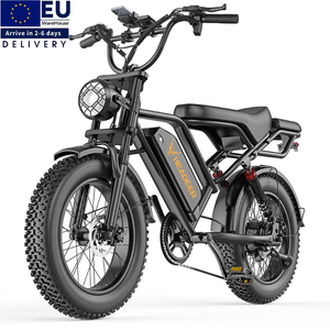 Bicicleta eléctrica de montaña HEADER BK20 48V 20Ah con batería, Fatbike de 20 pulgadas, bicicleta eléctrica todoterreno de 750W con asiento trasero - Product Image 1