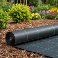 Rouleau de tissu tissé en PP noir de 3 pieds x 30 m pour la lutte contre les mauvaises herbes, barrière anti-herbe, couverture de sol pour jardin et serre