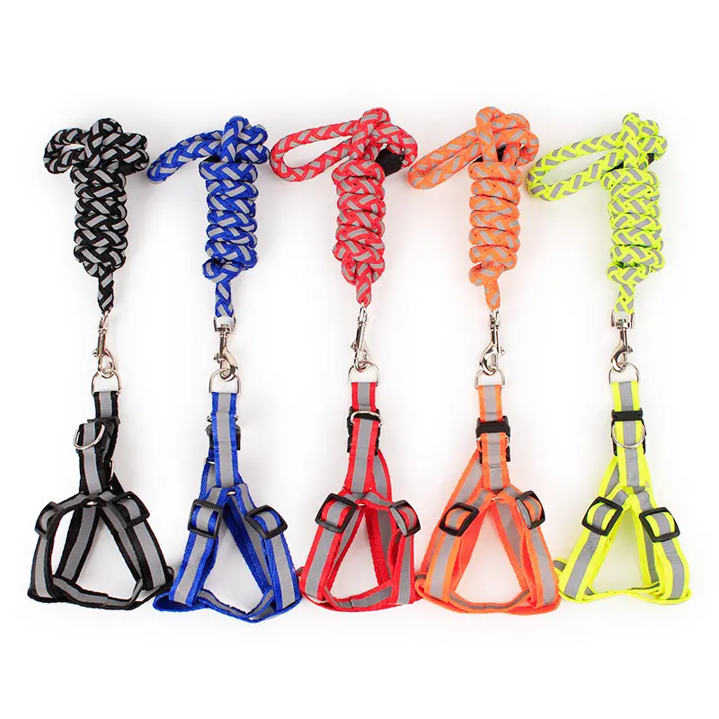 Breite Reflective Strap Hunde geschirr und Leine Set Round Wave Nylon Leinen Weste für kleine mittelgroße Hunde Chihuahua Pet Shop Lieferant