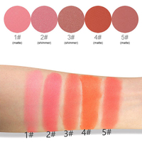 Vente en gros véritable maquillage nude éclaircir naturellement le teint de la peau Fard à joues mat de couleur imperméable et durable personnalisé