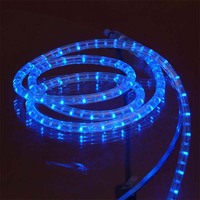 100m /2 fil/13mm a mené la lumière de corde led duralight de haute qualité avec PVC pour extérieur professionnel projet à utiliser