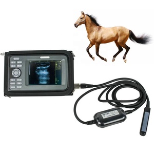 Ecografo Ultrasonido Veterinarios Portatil Mouton Cochon Vache Cheval Chien test Portable Animal Machine à ultrasons vétérinaire portative - Product Image 1