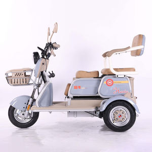 Moto électrique puissante, vélo électrique tout-terrain, scooter 3 roues pour personnes âgées, motos et tricycles pour <span class=keywords><strong>un</strong></span> usage quotidien - Product Image 2