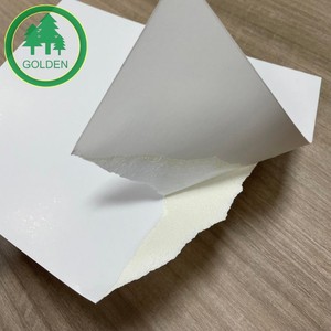 Cartón Plegable de Primera Calidad FBB para Embalaje de Chocolate, Cajas Farmacéuticas, Cartones de Cosméticos y Productos de Consumo Premium - Product Image 4