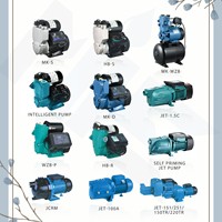 Pompe à eau électrique auto-amorçante intelligente et silencieuse pour réservoir sous pression domestique, eau froide et chaude, entièrement automatique